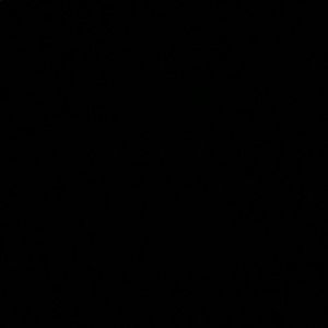 Meet your Posher, Dani